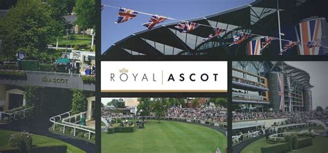 bet365 horse|Horse Racing Previews, Betting Tips & Results .